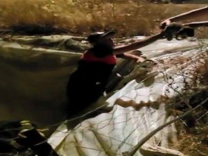 Köpek Yavrularını İtfaiye Ekipleri Kurtardı