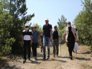 Frigya Vadilerini İnceledi