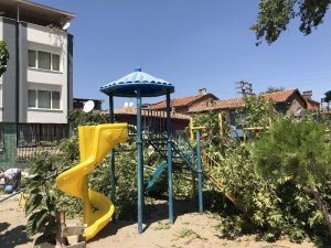 Çocuk Parkındaki Tarihi Çınar Ağacı Devrildi: 3 Araç Hasar Gördü