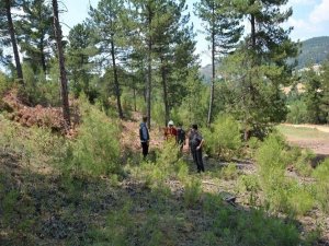 Orman Bölge Müdürü Hasan Keskin, Gediz Ve Şaphane Ormanlarında İncelemelerde Bulundu