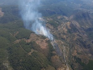Milas’ta Zirai Alandaki Yangını Söndürme Çalışmaları Devam Ediyor