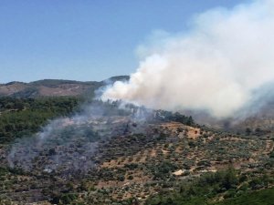 Milas’taki Yangın Kontrol Altına Alındı