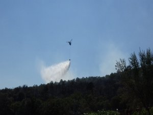 Uşak’ta Tarlada Çıkan Yangın Ormana Sıçradı