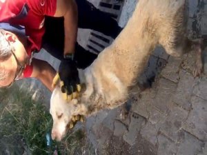 İtfaiyeden Nefes Kesen Kurtarma