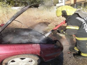 Park Halindeki Otomobilde Yangın Çıktı