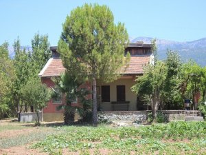 Pınar Gültekin’in Öldürdüğü Evin İçi Görüntülendi