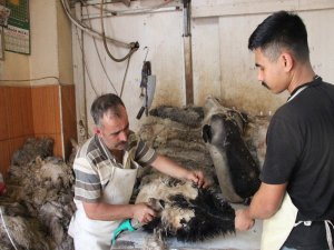 Peynire Lezzet Katan Tulumlar