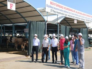 Denizli’de Kurban Bayramı Tedbirleri Alındı