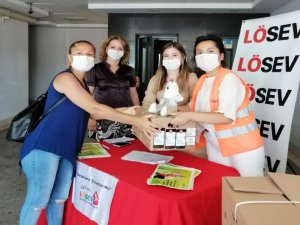 Lösev’den Yıl Boyunca Et Yardımı