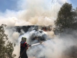 Saman Balyaları Yandı