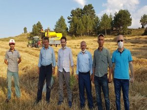 Gazel, Aslanapa İlçesinde İncelemelerde Bulundu