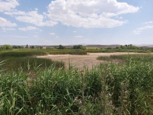 Yanlış Sulama Akarsuyu Kuruttu