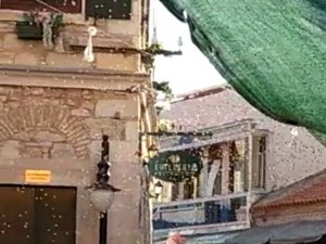 Urla’yı Arılar Bastı, Görenler Şaşırdı