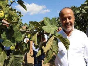 Ak Partili Yavuz’dan "Hayırlı Olsun" Mesajı
