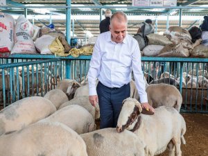 Canlı Hayvan Pazarı Kurban Boyunca Açık Olacak
