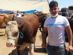 Hayvan Pazarlıkları Kızıştı