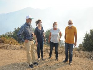 Başkan Çalkaya, “Yanan Her Ağaçla Canımız Yanıyor”