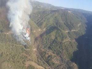 Turgutlu’da Orman Yangını