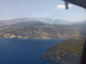 Muğla’da Orman Yangını