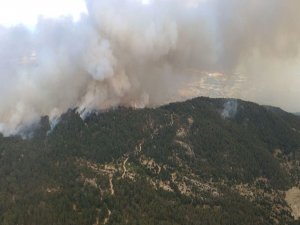 Aydın’dan Muğla’ya Sıçrayan Yangın Devam Ediyor