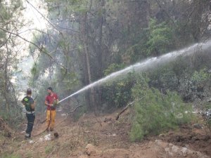 İzmir’de Dört Noktada Çıkan Yangınlara Müdahale Devam Ediyor