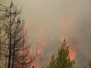 Dumandan Etkilenen Görevli Canı Pahasına Alevlerle Mücadele Ediyor
