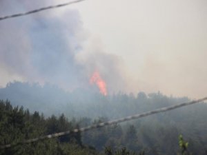 Menderes’teki Yangını Söndürme Çalışmaları Sürüyor