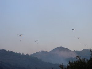 İzmir’deki Yangında Havadan Söndürme Çalışmaları Yeniden Başladı