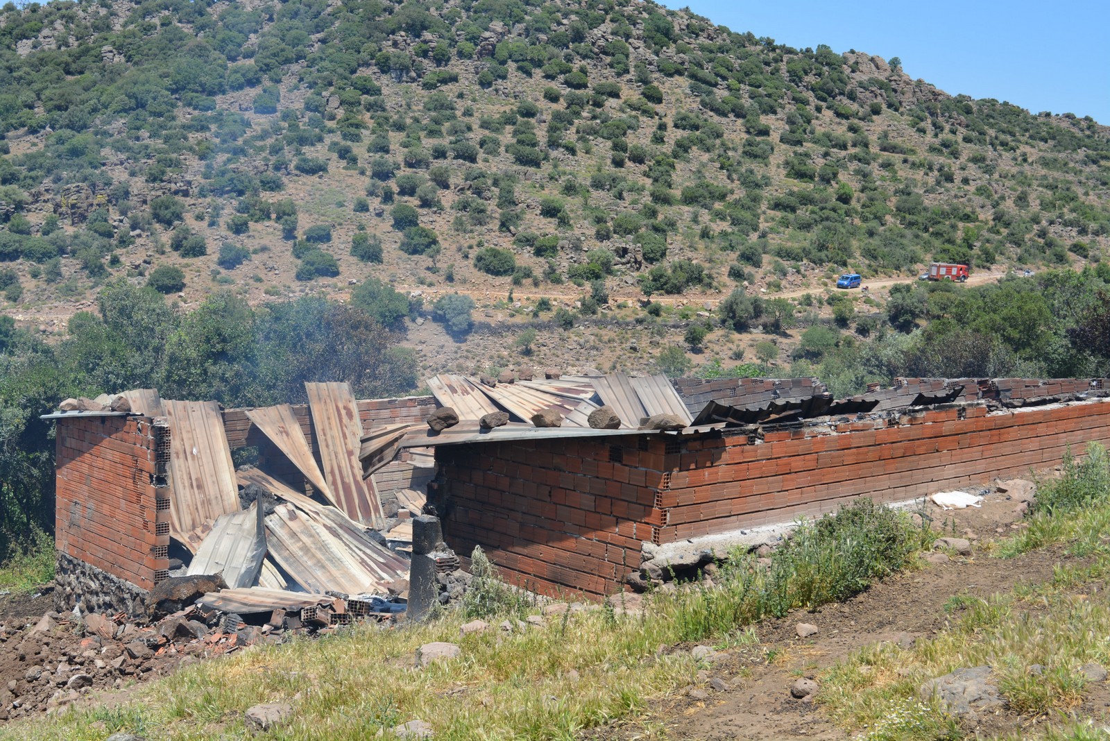 Aliağa'da ağılda çıkan yangında 78 küçükbaş hayvan telef oldu