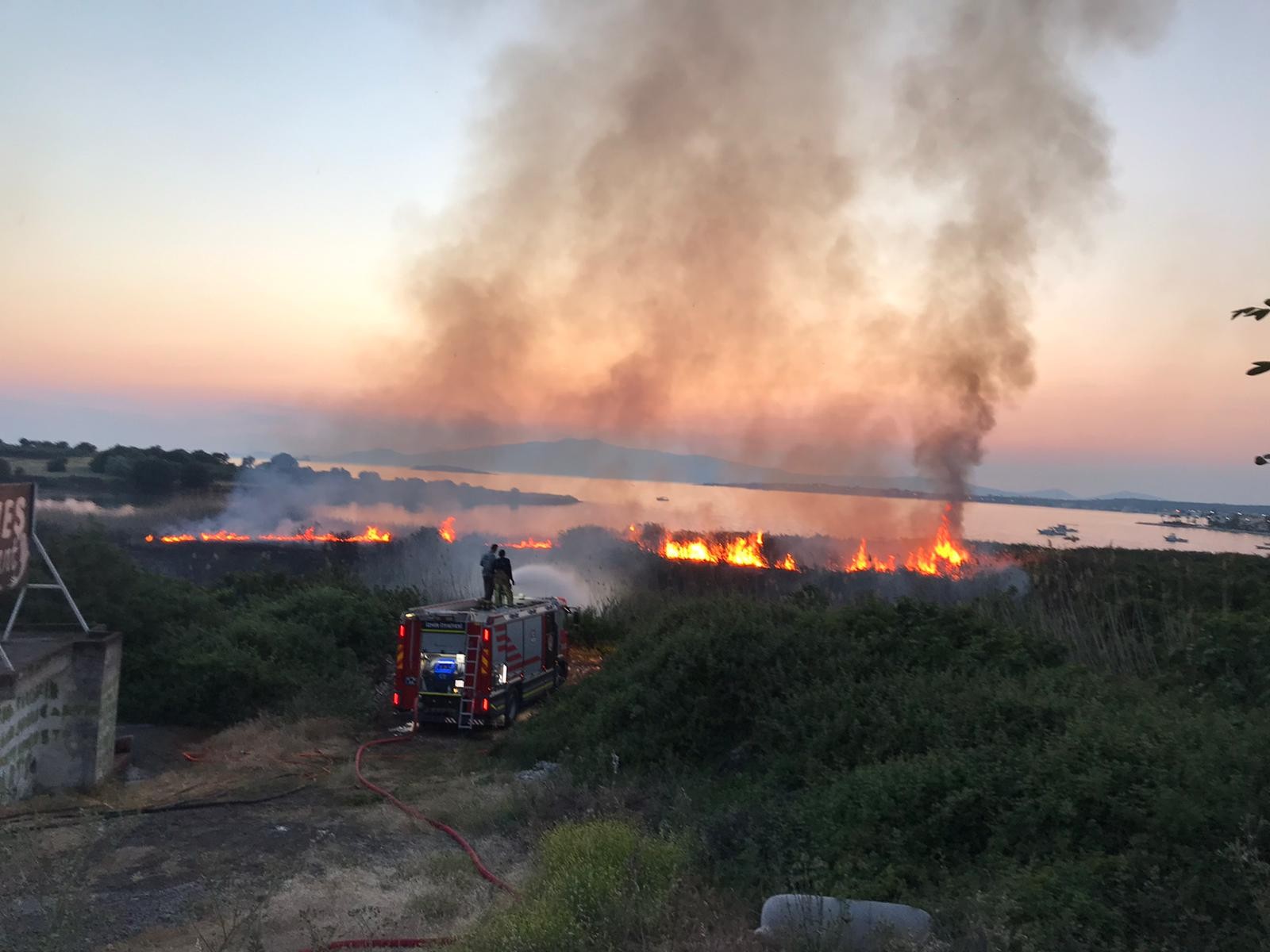 Aliağa’da sazlık alanda yangın