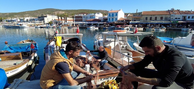 Balık fiyatları yarı yarıya düştü