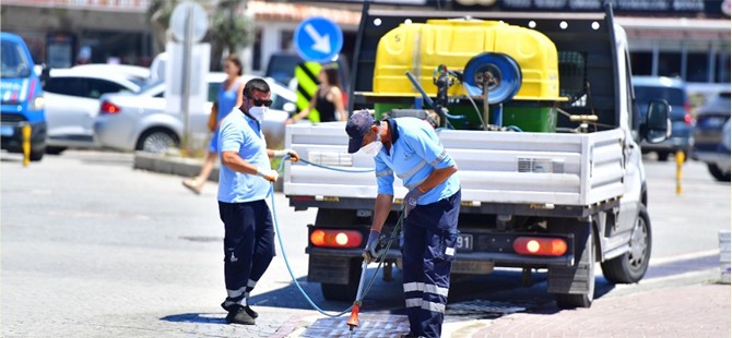 İklim krizi sivrisinek popülasyonunu artırdı