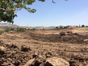 Turşuluk Salatalık Üretimine Büyükşehirden Destek