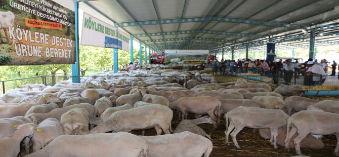 Madenci Ailelere Can Suyu Olacak