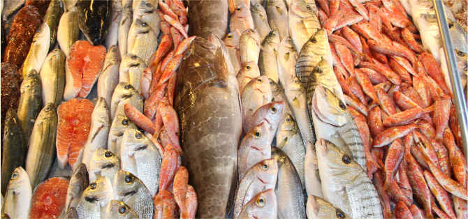 Egeli balıkçıların 11 aylık ihracatı 1 milyar doları aştı