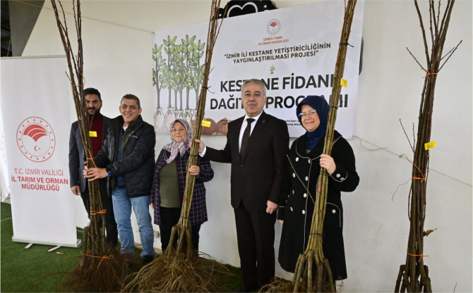 İzmir’e 2.620 Gal Arısı Dayanıklı Kestane Fidanı Dağıtıldı