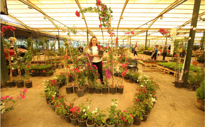 Yılın en renkli festivali 16 Mayıs’ta başlıyor!