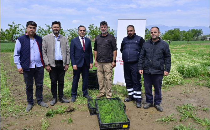 İzmir'de 17 Bin Kuşkonmaz Fidesi Üreticilere Dağıtıldı