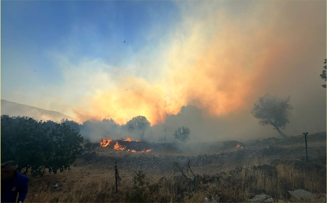 İzmir İtfaiyesi Dikili’deki yangına müdahale ediyor