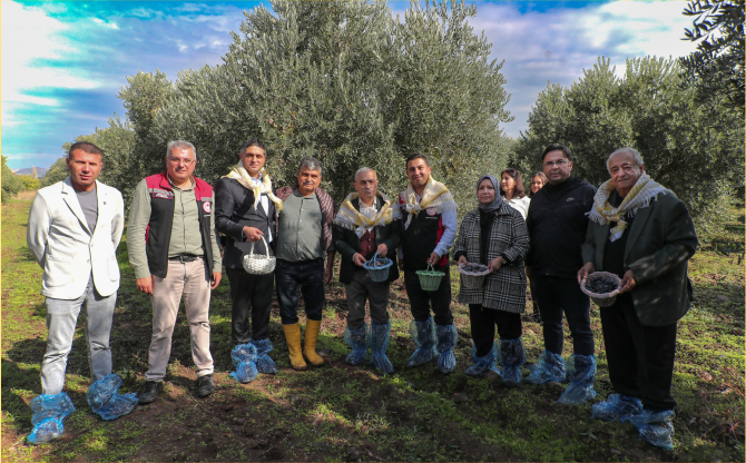 Zeytinin Yolculuğu Aliağa’da Şenlikle Kutlandı