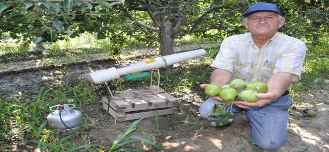 Domuzsavar İş Başında