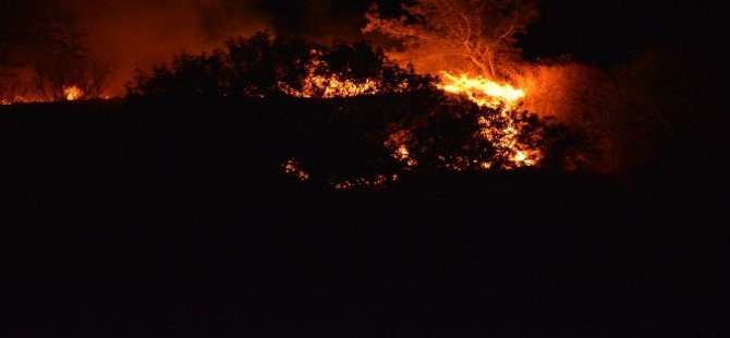 Kyme Antik Kent Yakınlarındaki Ormanlık Alanda Bir Hafta Arayla İkinci Kez Yangın Çıktı