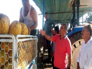 Doktor Ülkümen Rodoplu’dan Çiftçilere Miting Daveti