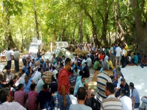 Okur: Cemaat Ve Tarikatlar Devletten Elini Çekmeli