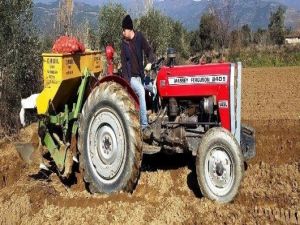 Ödemiş’te ‘Güz Patatesi’ Ekimi Başladı