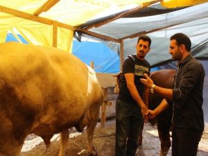 İzmir’de Kurban Bayramı Hareketliliği