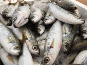 Hiperaktivitenin Çözümü Omega 3