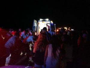 Domuza Çarpmamak İçin Kaza Yaptı: 7 Yaralı