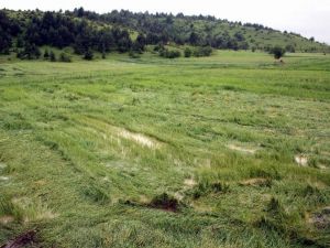 Tarımın Sigortasından Üreticiye 850 Milyon Tl Ödeme