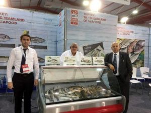 Türk Balıkları Kuzey Irak Pazarına Açılıyor